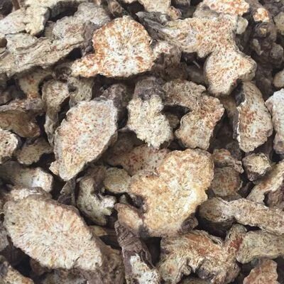 凤城市苍术种苗
