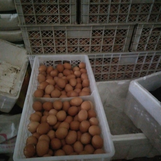 保定红皮鸡蛋 食用 箱装