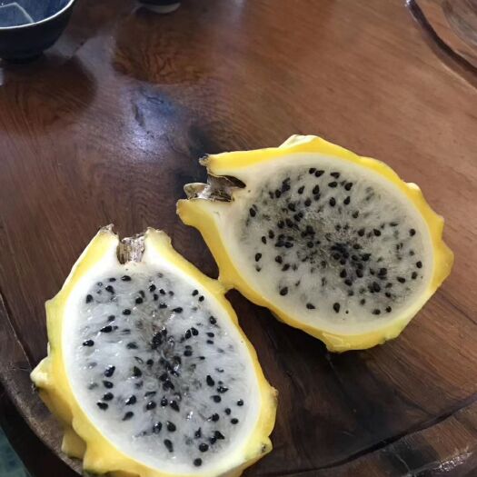 景洪市燕窝火龙果苗 