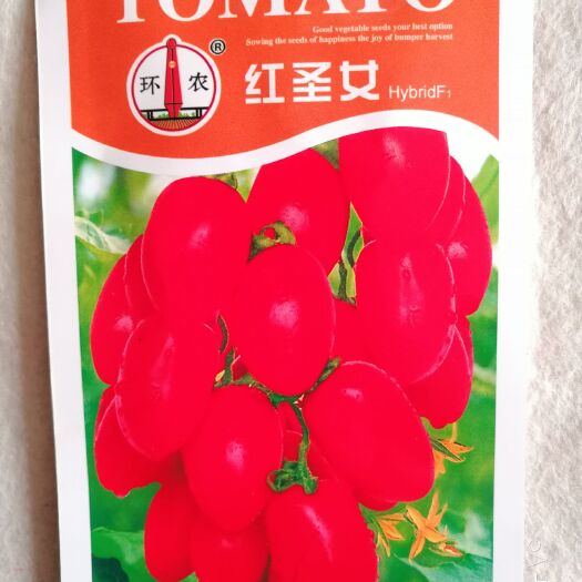 樱桃番茄种子 圣女果种子供应