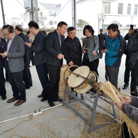 兴化市稻草绳