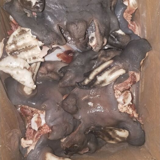 羊头脸 熟肉