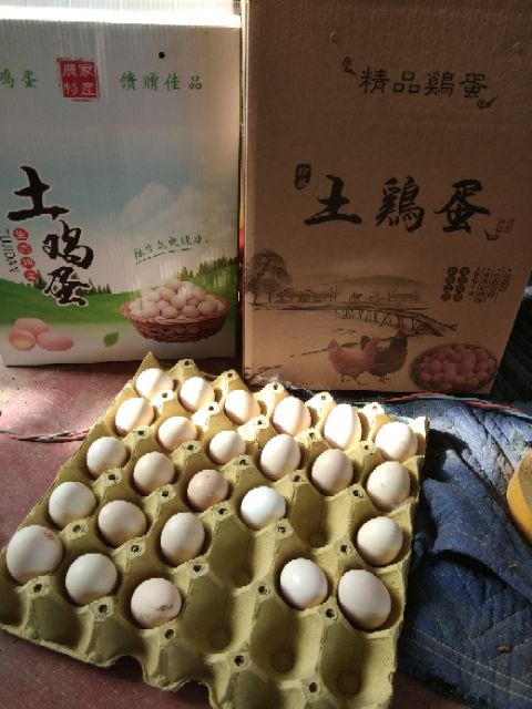 新乐市笨鸡蛋 食用 散装