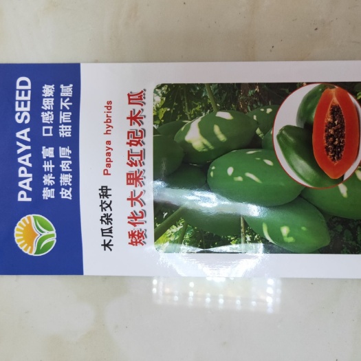 木瓜种子 矮株大果红妃木瓜1包100粒