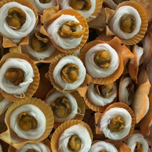 佛山冻贝柱