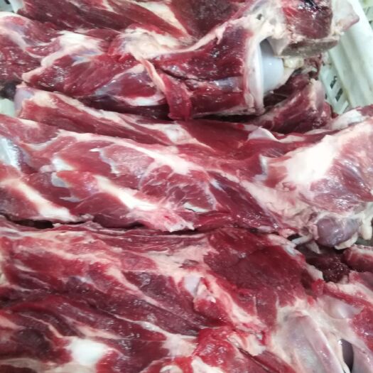 献县牛脖骨 多肉，