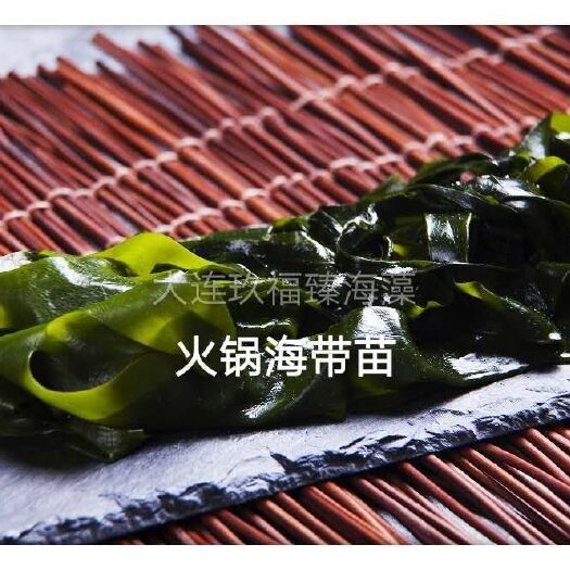 大连脱水裙带菜 18-24个月
