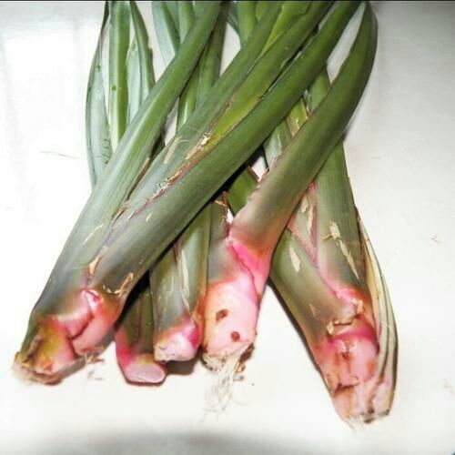 彝良县牛肉香粉
