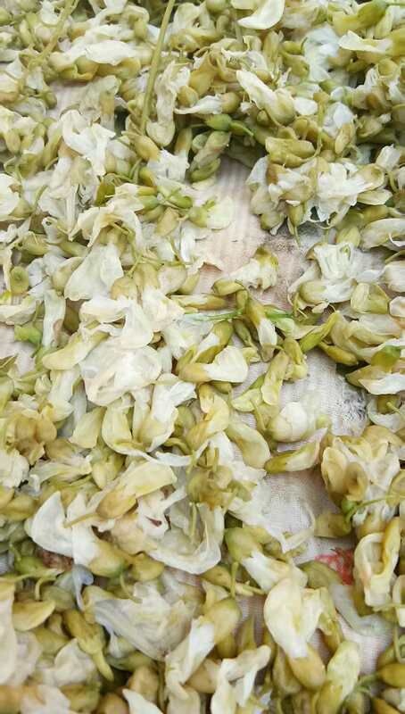 东明县槐花 2019年新的干槐花。