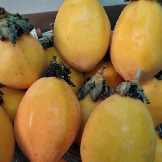 灵山县甜蜜蜜百香果苗