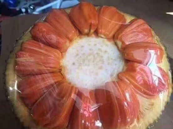 灵山县红肉菠萝蜜苗