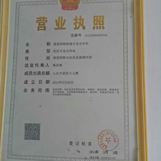通道县山核桃油