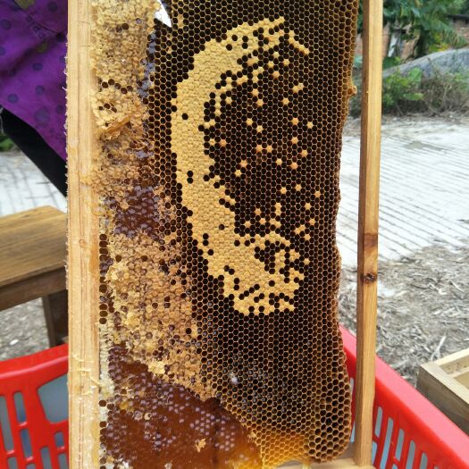 高州市荔枝蜜 桶装 2年以上 98%
