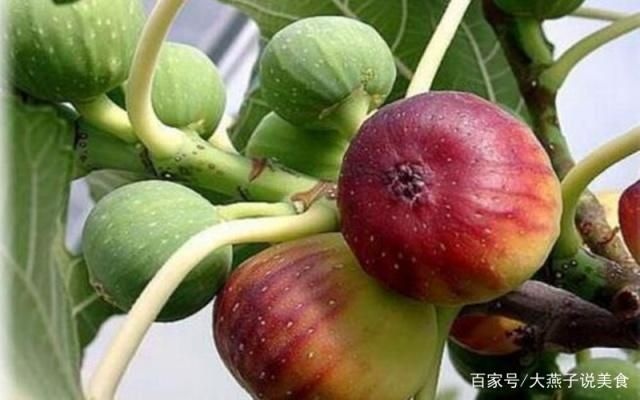 平邑县 红心无花果树苗，当年结果，基地直销，盆栽地栽都可以，全国包邮