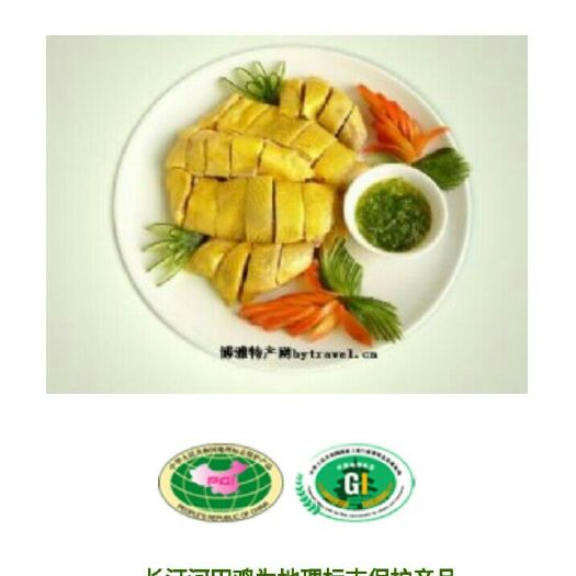 福州土鸡 2-3斤 母