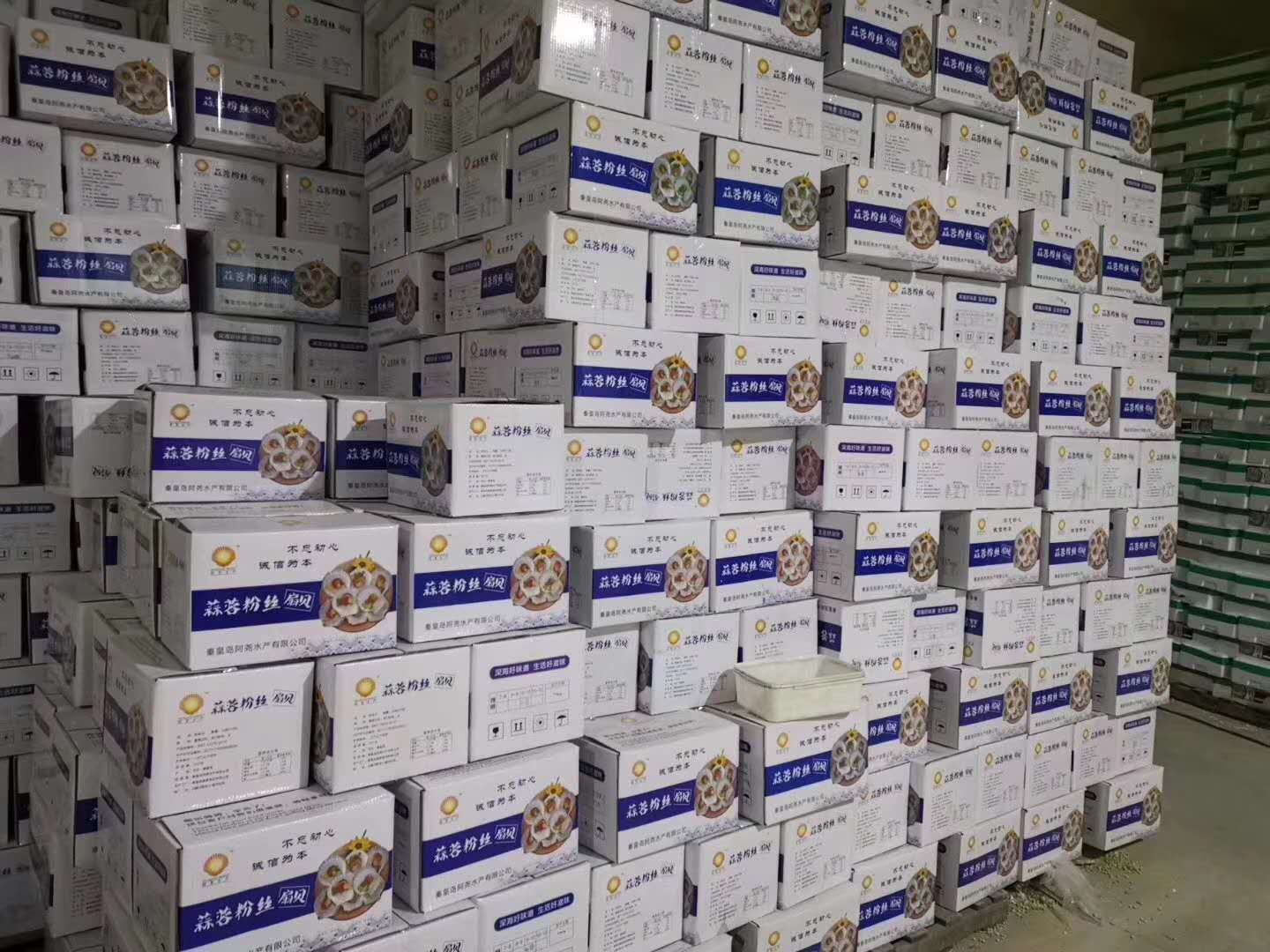 夏贻贝 蒜蓉粉丝贝