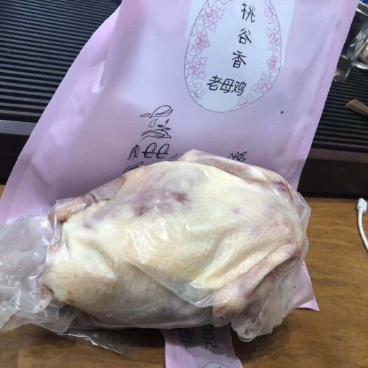 五谷鸡 2-3斤 母