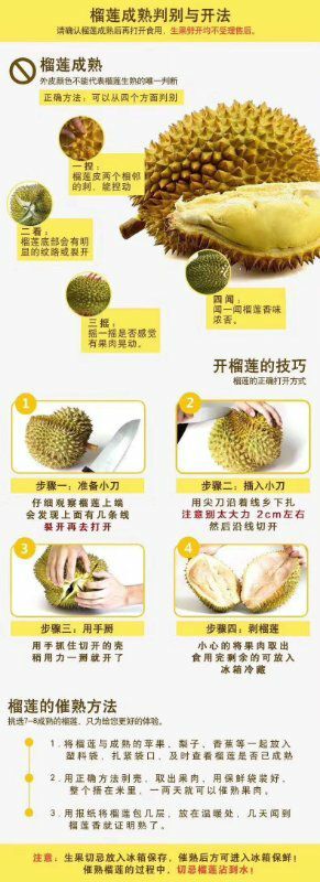 凭祥市泰国金枕榴莲 2 - 3公斤