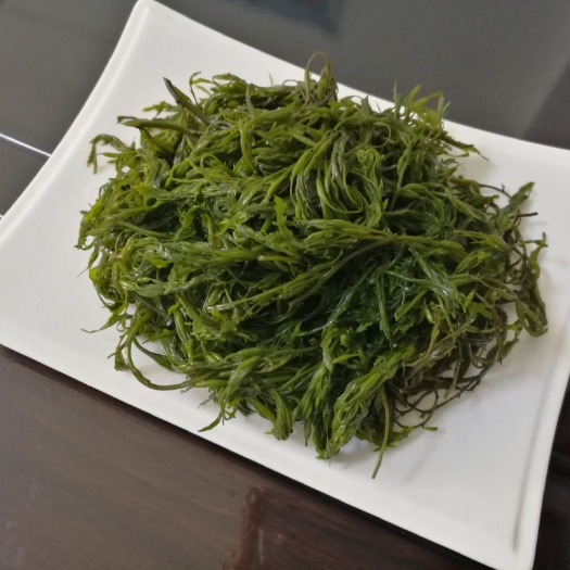 大连马尾藻