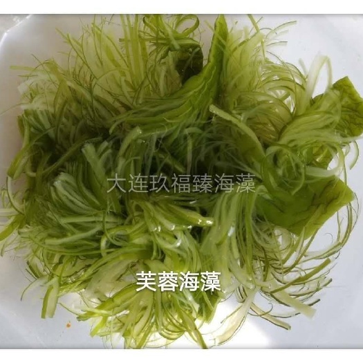 大连裙带菜 裙带菜/芙蓉海藻，火锅海藻