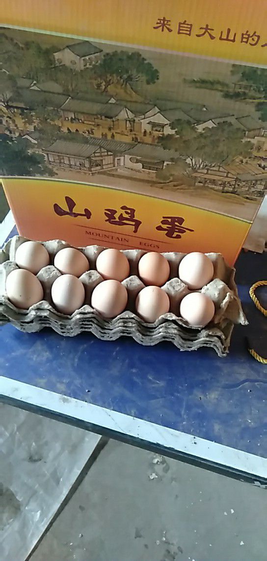 笨鸡蛋 阳泉市森林公园:林地散养，绿色食品，吃草吃虫补饲料。
