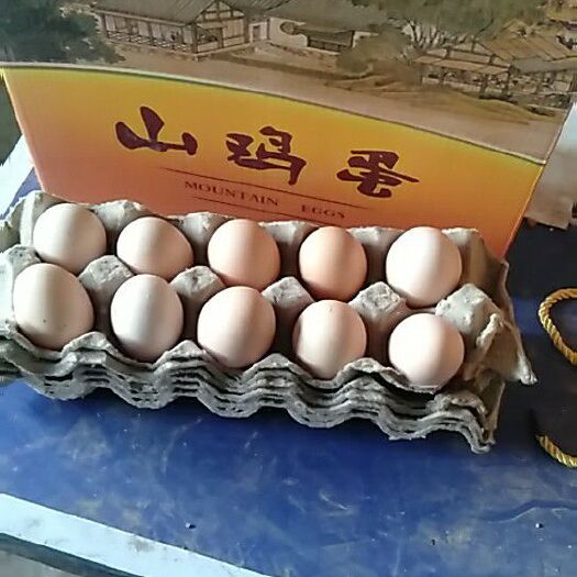 阳泉笨鸡蛋 阳泉市森林公园:林地散养，绿色食品，吃草吃虫补饲料。