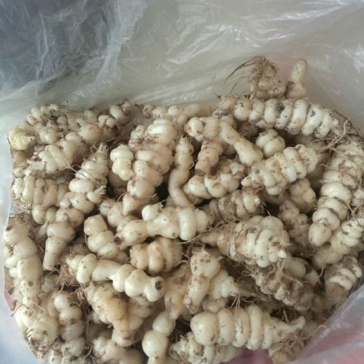 礼泉县天蚕