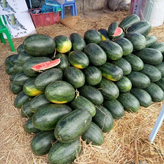 河口县黑美人西瓜 3斤打底 8成熟 2茬以上 有籽