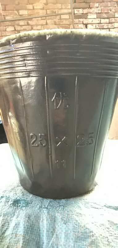 育苗袋/育苗杯/容器袋