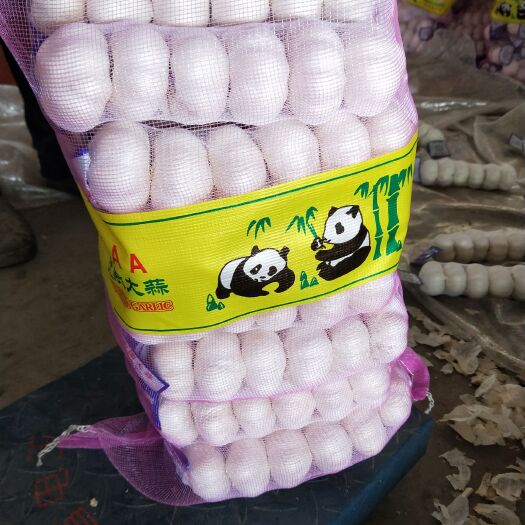 金乡县红皮蒜  各种规格，各种包装，代发全国