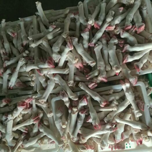 巴彦淖尔羊蹄