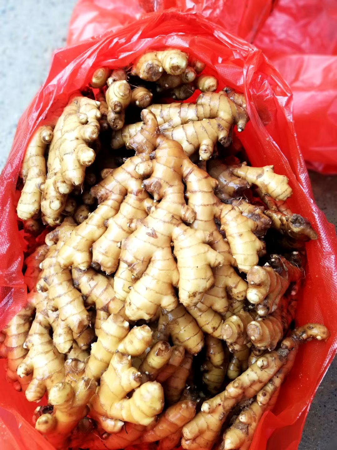 小黄姜 6两以上 带土