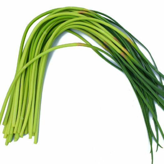 睢县杂交蒜薹 60~70cm