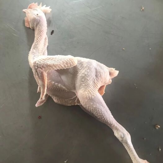 白条鸡 冷冻
