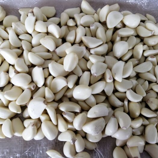 金乡县去皮机  200公斤蒜米一体机