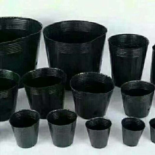 怀宁县育苗袋/育苗杯/容器袋
