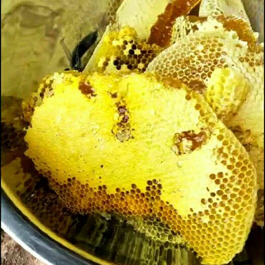 镇沅县土蜂蜜 塑料瓶装 2年以上 