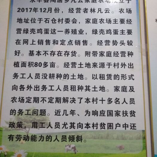 永丰县土鸡蛋 食用 礼盒装