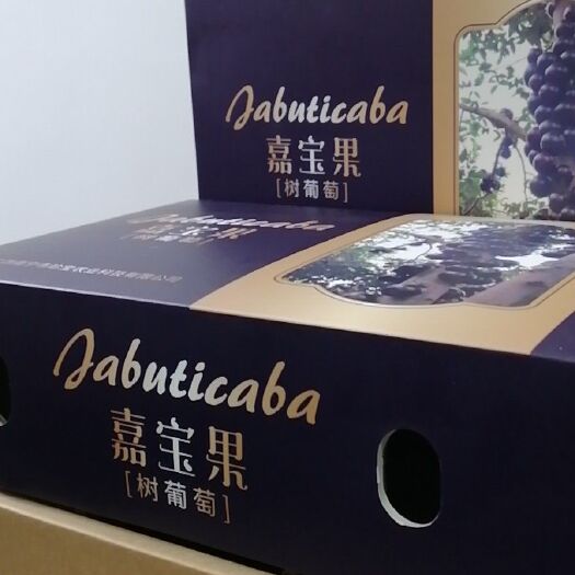 萍乡水果礼盒