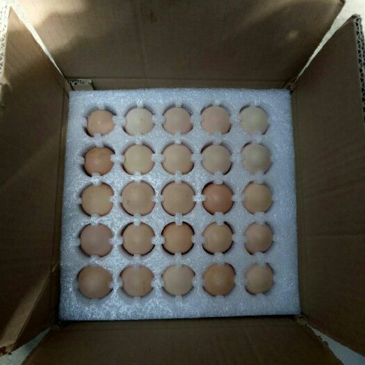 平江县土鸡蛋 食用 礼盒装