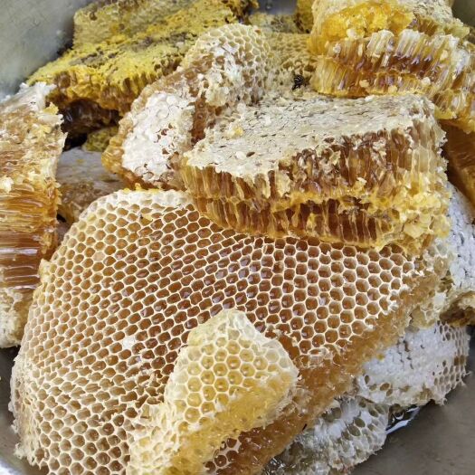 玉溪土蜂蜜 塑料瓶装 2年 