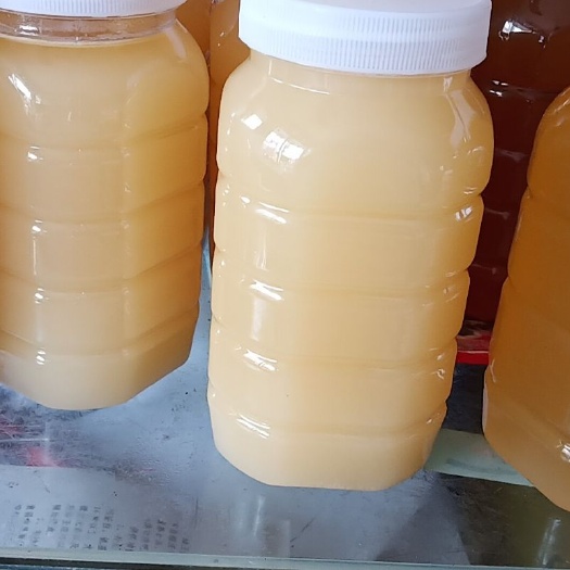 中蜂 ，意蜂