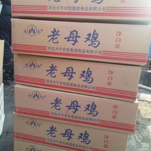 保定白条鸡 500天以上日龄的老母鸡，全净膛