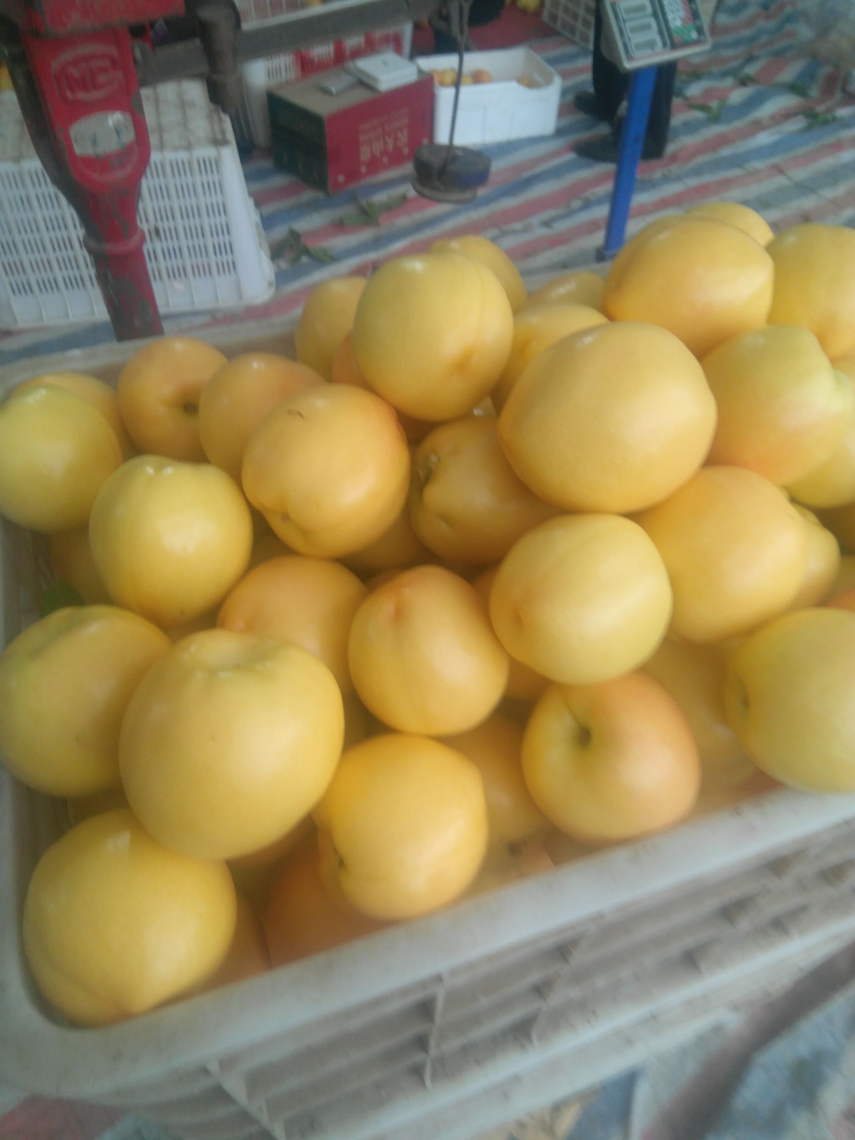 中油4号油桃  2两以上 50mm以上 这里桃子亮度好，糖度高。