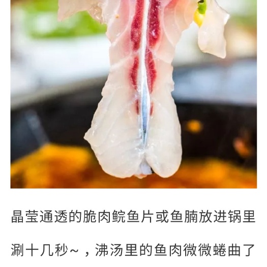 重庆市脆肉鲩 人工养殖 1.5-6公斤