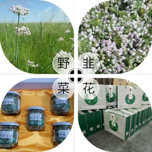 内丘县韭菜花 头茬 30~35cm
