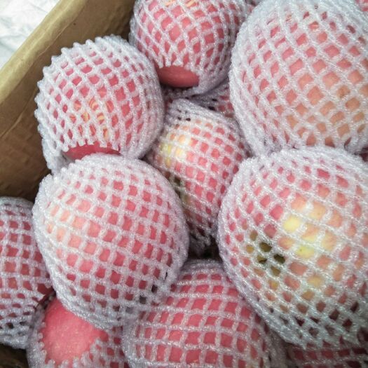 静宁县 静宁 硒sod冰糖心苹果(非精品)