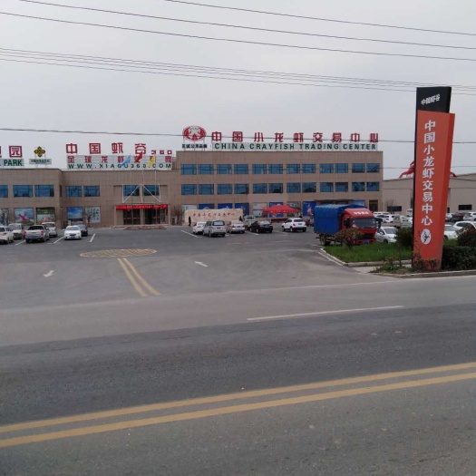 潜江市中国小龙虾 4-6钱 稻田虾