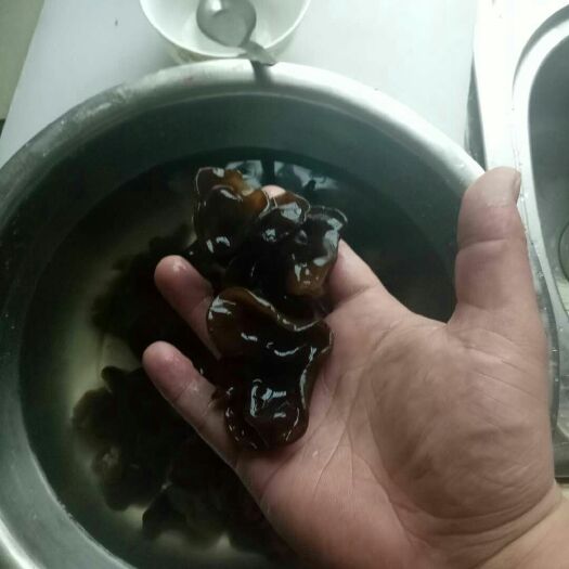 丹东黑木耳 干木耳 一级