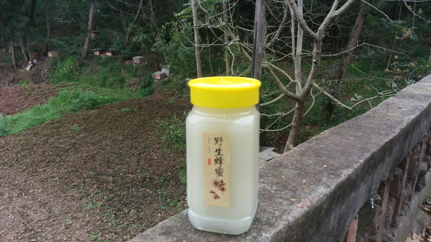 土蜂蜜 玻璃瓶装 2年  
